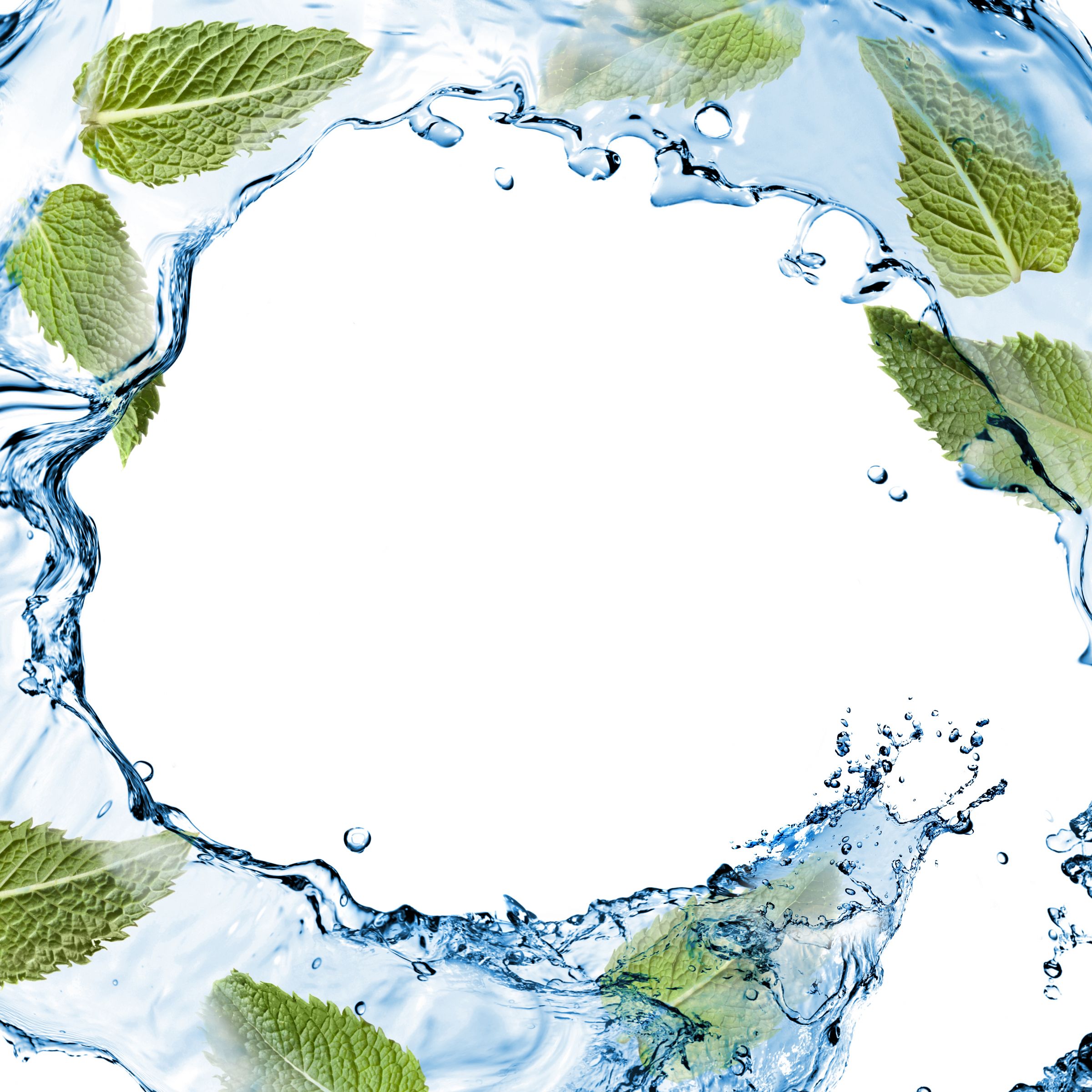 Содержит экстракт мяты, который не только убивает бактерии, но и придает освежающий аромат и устраняет нежелательные запахи.